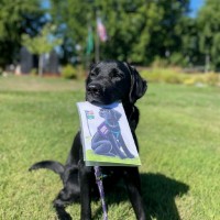 Paws for Purple Hearts Employee Cassidy Cooley's profile photo