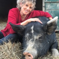Kathy Stevens