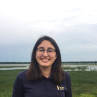 Constellation Employee Olivia Pointer's profile photo