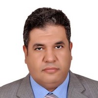 Essam Elsayed Email