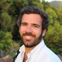 BlinkLearning Employee Francisco Seabra Guimarães's profile photo