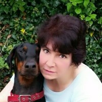 Supply It Site Services Ltd - 03333 210140 Employee Lauren Eilbeck C.'s profile photo