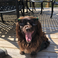 THE TIMES MEDIA GROUP Employee James Hunsley's profile photo