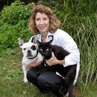 RELIEF VETERINARIAN Employee Margaret Farnon's profile photo