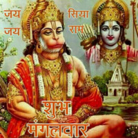 Moll Employee Raghav Jha's profile photo