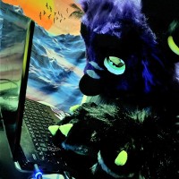 Bo Email & Phone Number