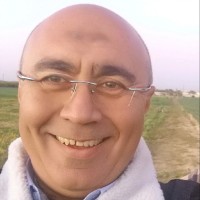 Ayman Rashed Email & Phone Number