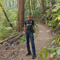 Basic Roots Consulting Employee Arindam Basu's profile photo