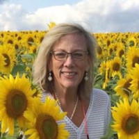 Town of Andover Employee Ann Ormond's profile photo