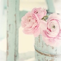 Manufacturing Industries Group Apprenticeship Scheme Employee Linda Lay's profile photo