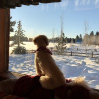 Parrish-Hare / Power-House Electrical Supply Employee Mitch Cook's profile photo