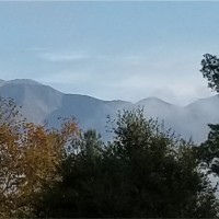 Alex Mikkelsen Email & Phone Number