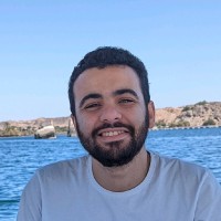 Mahmoud Ali's profile photo