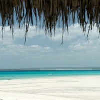 Rani Resorts Employee Michele Abraham's profile photo