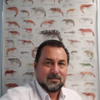 Benchmark Holdings plc Employee Fernando Garcia's profile photo