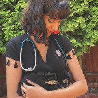 Coquitlam Animal Hospital Employee Deborah Amaranath's profile photo