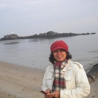 IMPACCT Brooklyn Employee Sujatha Raman-Snyder's profile photo