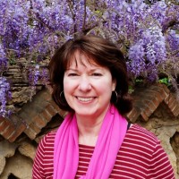 Virginia Nurses Assn Employee Terri Gaffney's profile photo