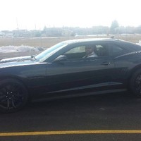 Torgerson's, LLC Employee Matt Johnson's profile photo