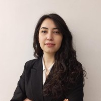 Guestinhouse Hotel Supply International Employee Emine Demi̇Ralay's profile photo