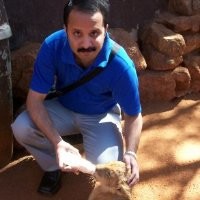 CMO Asia Employee Aalok Pandit's profile photo