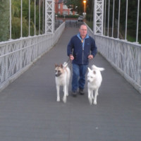 Dave Molyneux Email