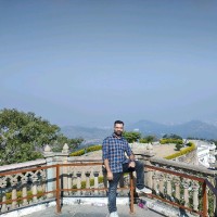 Surinder Thakur Email