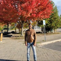 Nirav Kapadia Email & Phone Number