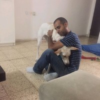 Roboteam Employee Roi Akva's profile photo