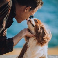 Catholic Answers Employee Christopher Check's profile photo