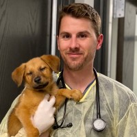 Wrigleyville Veterinary Center Employee Jim Hardiman's profile photo
