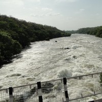 Ghostly International Employee Yambio Wes's profile photo