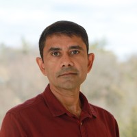 The University of Kansas School of Business Employee Kaushik Gala's profile photo