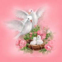 Roman Catholic Diocese of Hamilton, Ontario Employee Anne Gibbs's profile photo