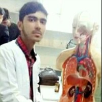 MBN ( Maiwand Broadcasting Network) Employee Mohammad Farahmand's profile photo
