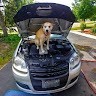 VDC Specialists Employee Bj Cook's profile photo