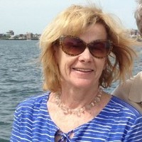 Save the Harbor/Save the Bay Employee Patricia Foley's profile photo
