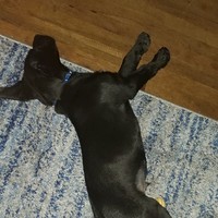 MADSKY Employee John Johnson's profile photo