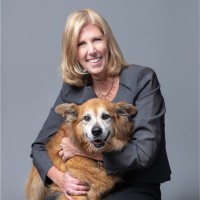 Champion Petfoods Employee Stacey Osborn's profile photo