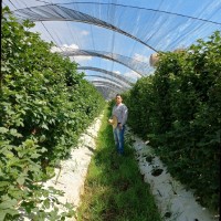 BlueDrop - Sustainable Agroforestry Employee Luis Flores's profile photo
