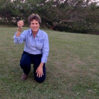 University of Florida Employee Ann Blount's profile photo