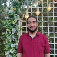 Mahmoud Farahat Email