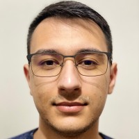 Alexandru Negrea Email