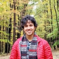 Robert Half Employee Ali Hani's profile photo