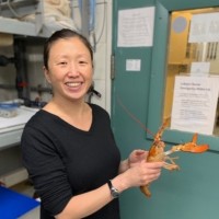 Anita Kim Email & Phone Number