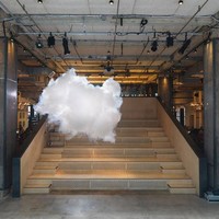 Seth Peterson Email & Phone Number