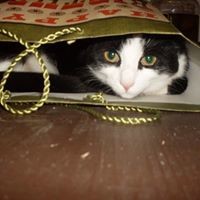Michele Miller Email
