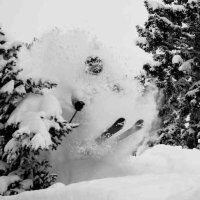 Gregory Mountain Products Employee George McCloskey's profile photo