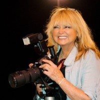 The Meadows School Employee Carol Cali's profile photo