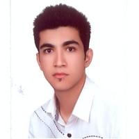 Ali Seieddokht's profile photo